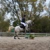 bABIE lATO 2018